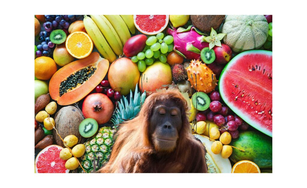 Demasiada fruta? Recuerda que no eres un orangután. Errores en nutrición que te están enfermando.